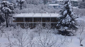 The Beas Hill Resort